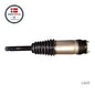 Air Suspension Strut Model S 2016-2021 - Rear Left/Right AWD/RWD