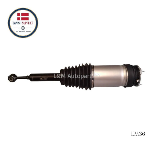 Air Suspension Strut Model X 2015-2021 - Rear Left/Right